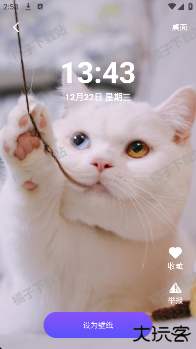 番茄动态壁纸最新版下载