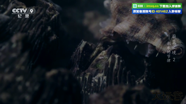 电视直播软件2025免费版