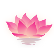 荷花工具箱下载下载 v1.0.0