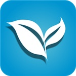 叶子TVapp官方版下载下载 v1.1.8