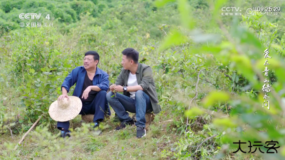 球迷直播官方最新版下载