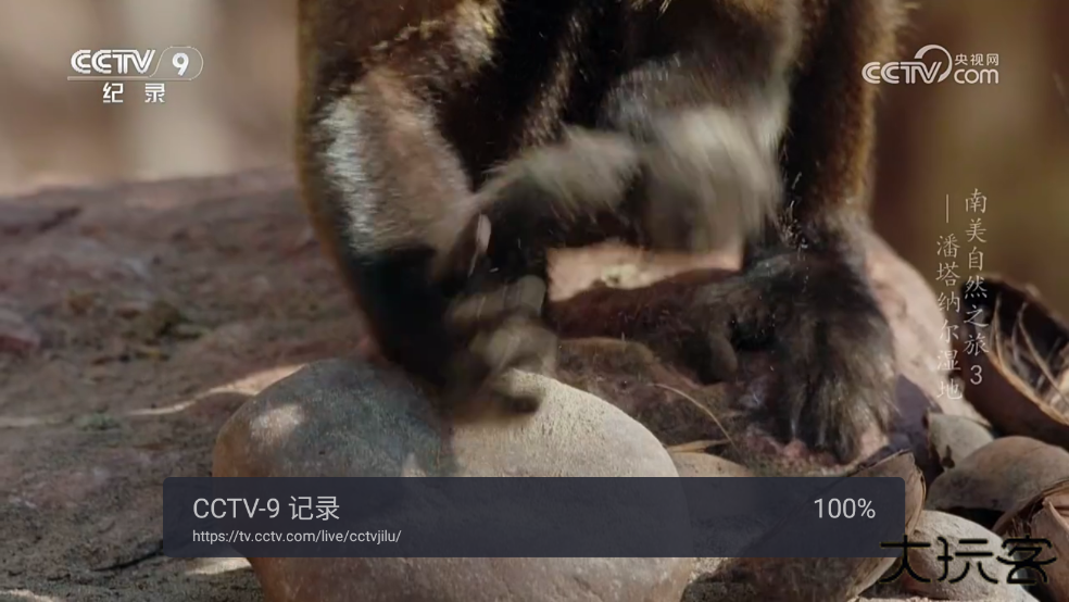 WebView电视最新版下载 WebView电视最新版下载