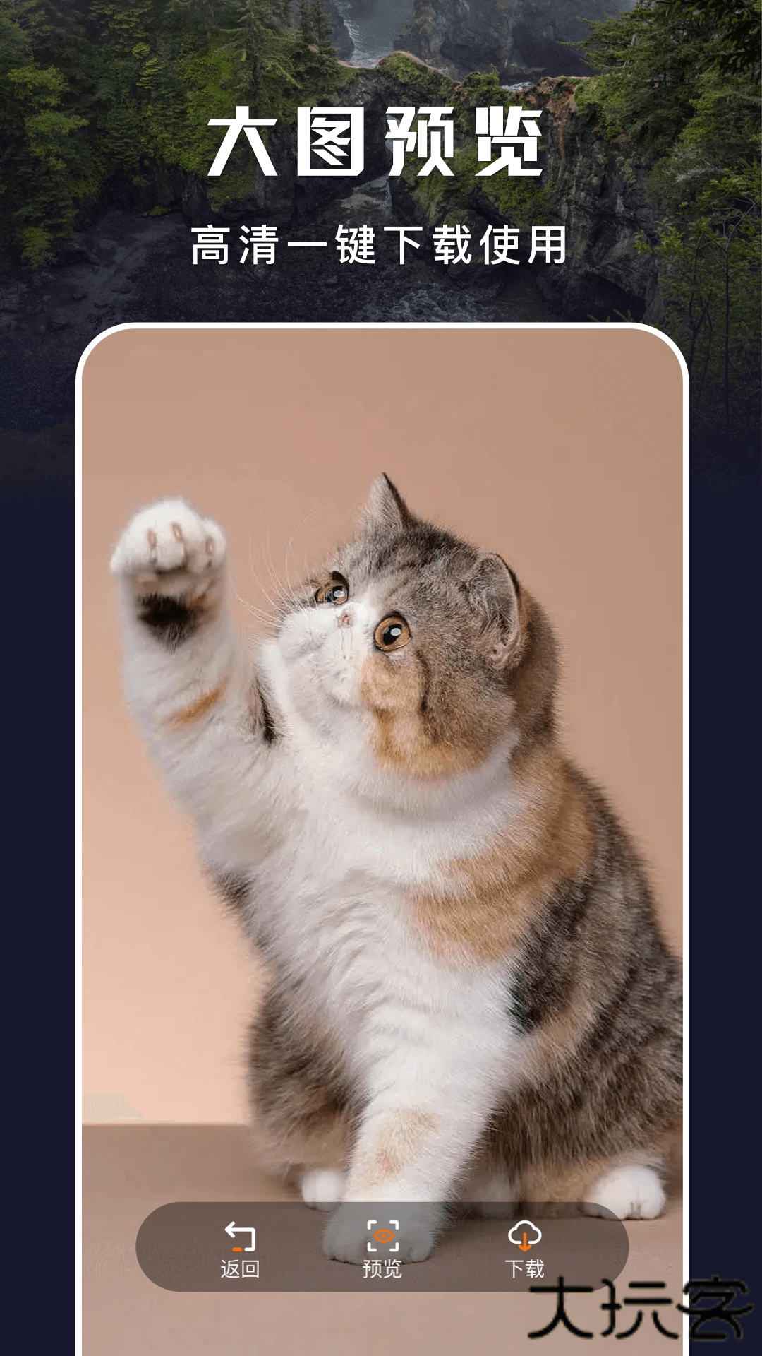 安卓仿ios主题盒下载 v1.5