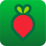 叮咚买菜app最新版下载 v11.21.0