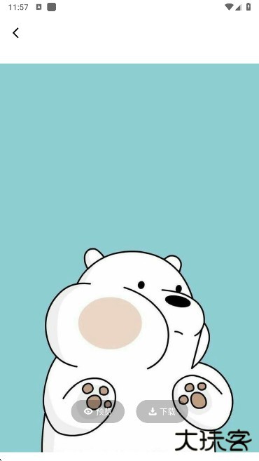 海豚动态壁纸组件