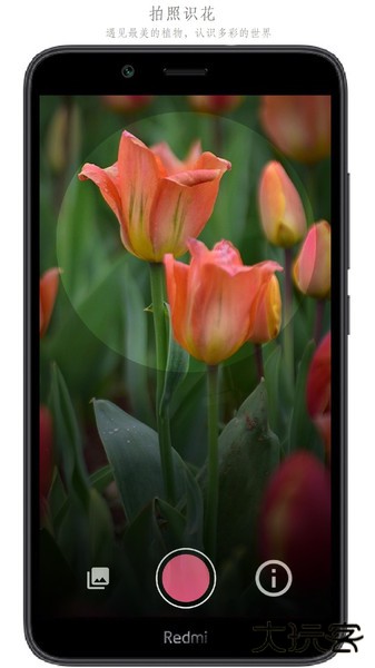 万物识别下载 v2.1.63.240603