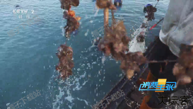 星星影院免费下载安卓版