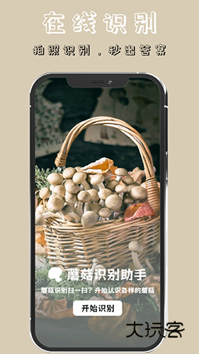 蘑菇识别V5.1安卓版