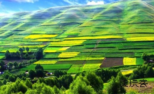 乐都融媒体手机客户端下载