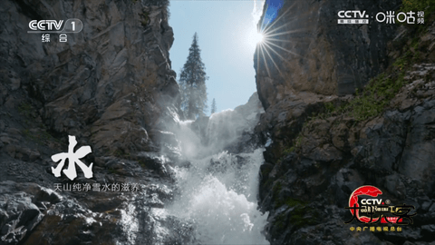 冰茶订阅专用TV下载安装v1.7.4.1