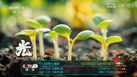 冰茶订阅专用TV下载安装v1.7.4.1