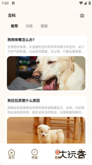 小熊猫CZR手机版下载