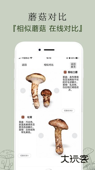 菌窝子V4.6.2安卓版