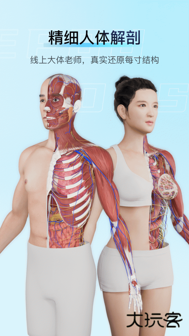 解剖大师安卓版下载