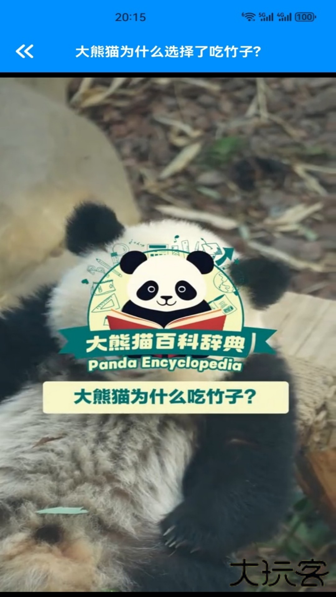 小熊猫CZRV1.3安卓版