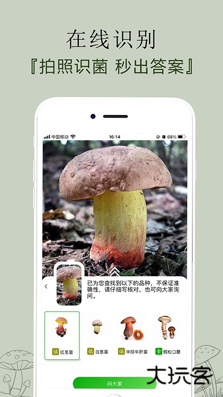 菌窝子安卓版下载