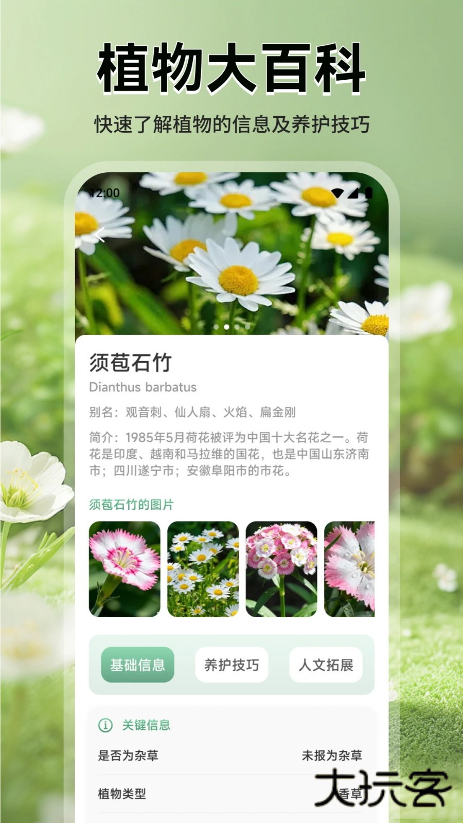 花团锦绣拾光最新版下载v1.1 安卓版