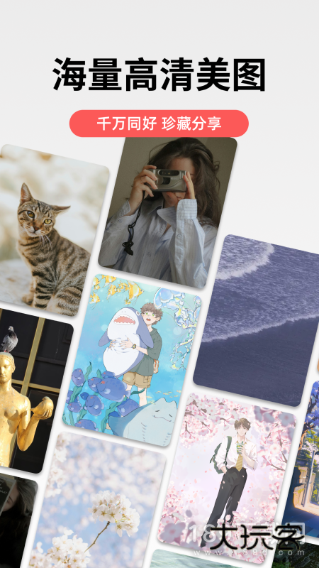 堆糖安卓版下载