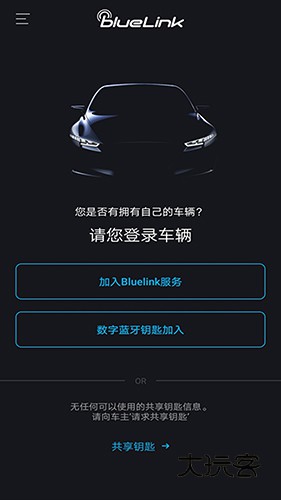 blueLinkV5.04安卓版