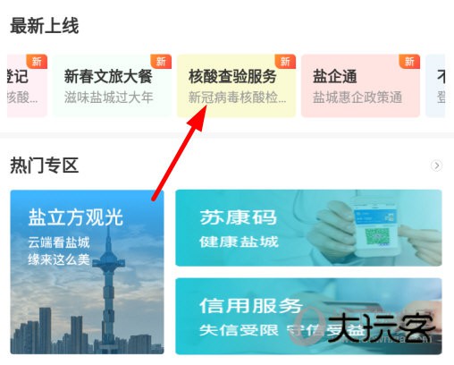 点击“核酸查验服务”