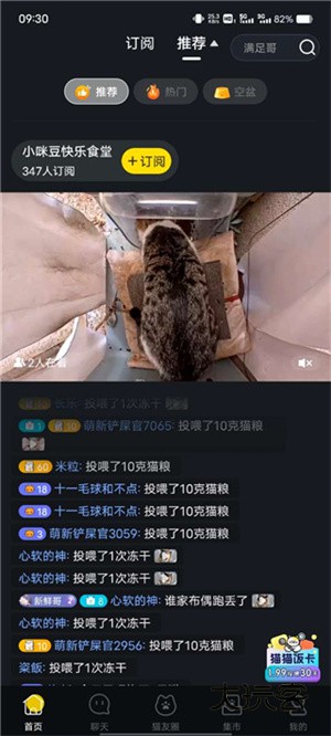 附近猫屋查询教程配图3