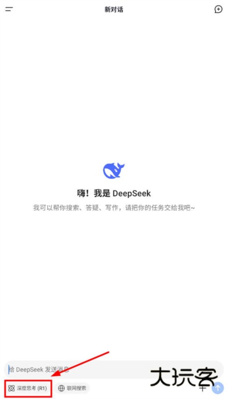 DeepSeek7