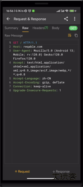 ReqableV3.0.31手机版