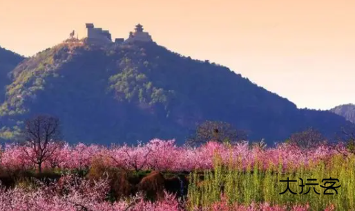 冀云昌黎手机客户端下载安装 冀云昌黎手机客户端下载安装