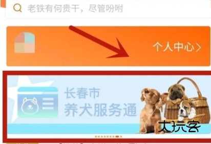 如何办理狗证配图1