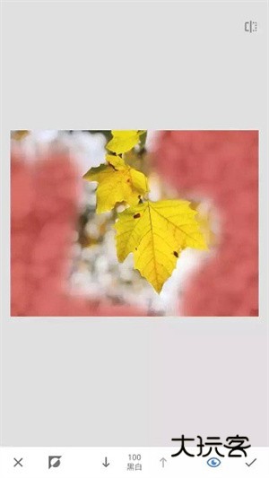 蒙版使用教程配图5