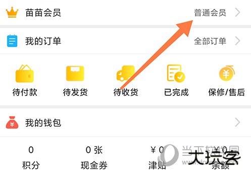 梅苗苗普通会员