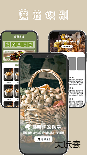 蘑菇识别V5.1安卓版
