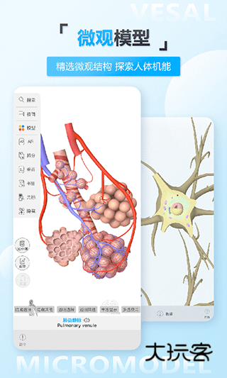 维萨里3D解剖V6.9.7安卓版