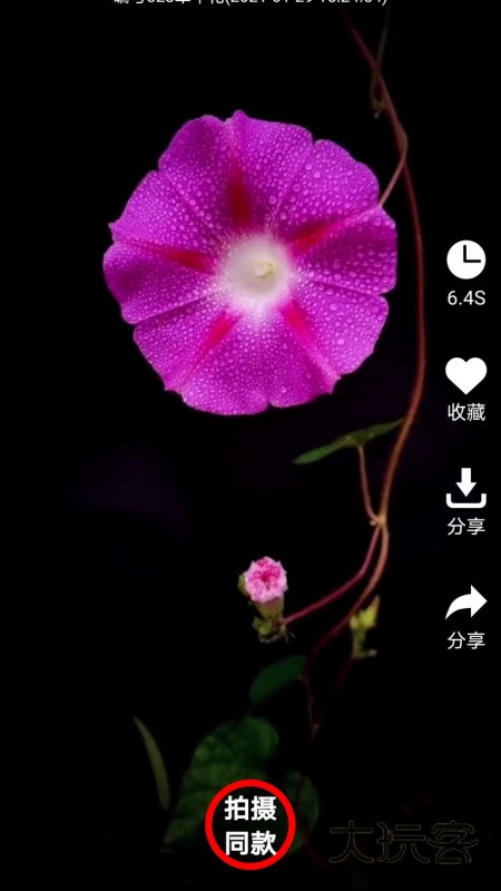 左拍V5.3.4安卓版