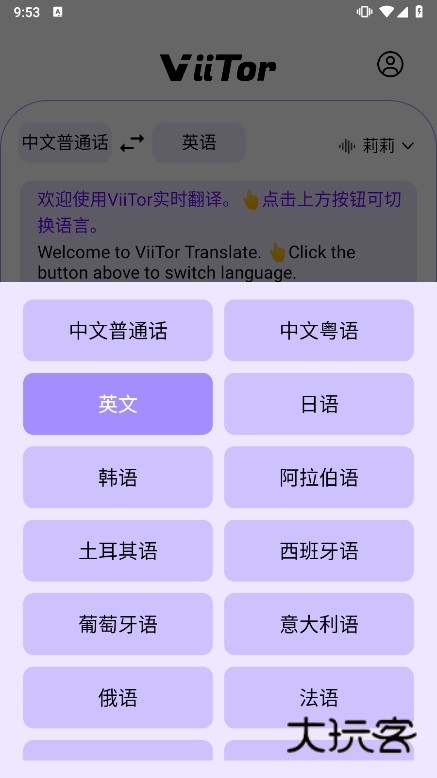 ViiTor Translate截图3