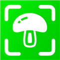 蘑菇识别V5.1安卓版