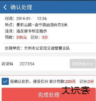 交管12123电脑版截图