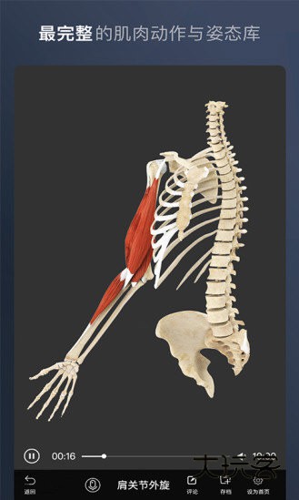 维萨里3D解剖APP宣传图