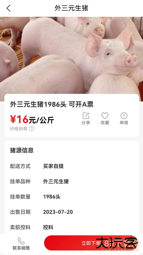 国家生猪市场安卓版下载