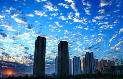 并州新闻客户端下载安装手机版