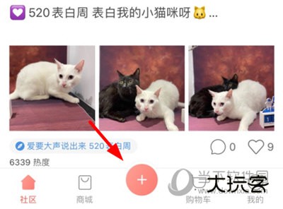 波奇宠物发布笔记