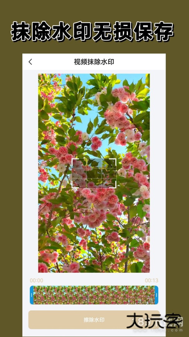 去水印大师安卓版下载