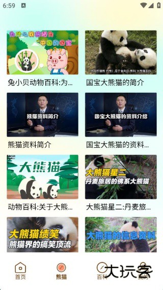 小熊猫CZR手机版下载