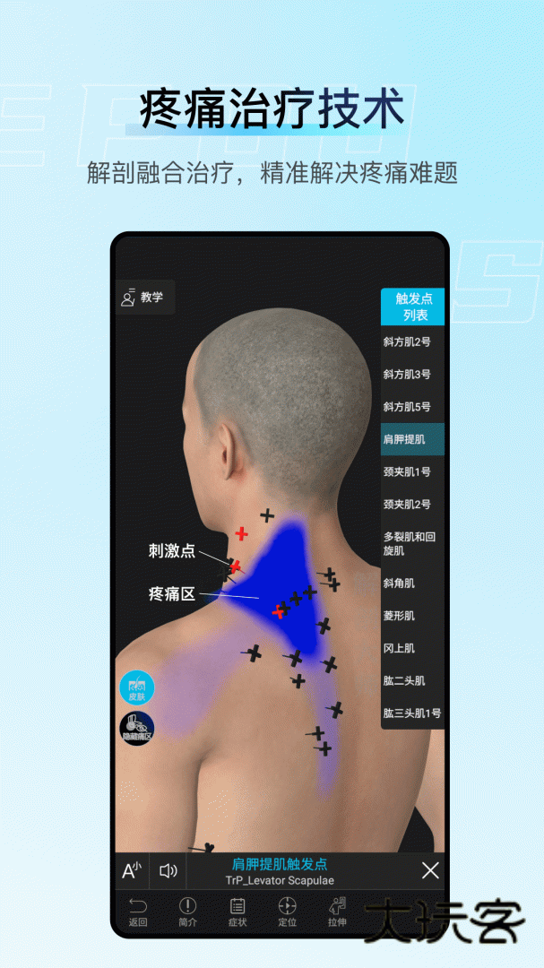 解剖大师安卓版下载