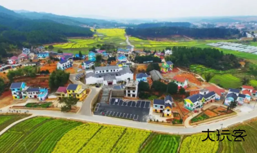 上贡井手机客户端下载安装