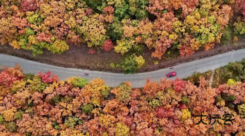 海港融媒官方app下载