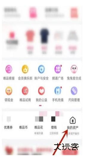 唯品会特惠版下载