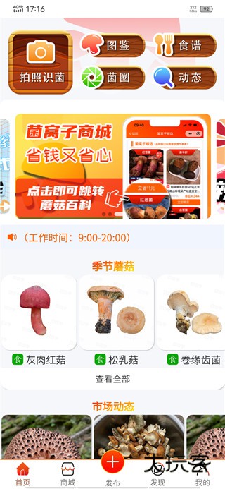 菌窝子APP宣传图