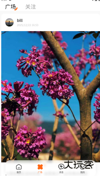 取伙交友软件下载