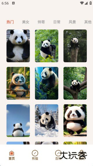 小熊猫CZR手机版下载